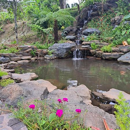 Mayura Bali Villa Munduk  Luaran gambar
