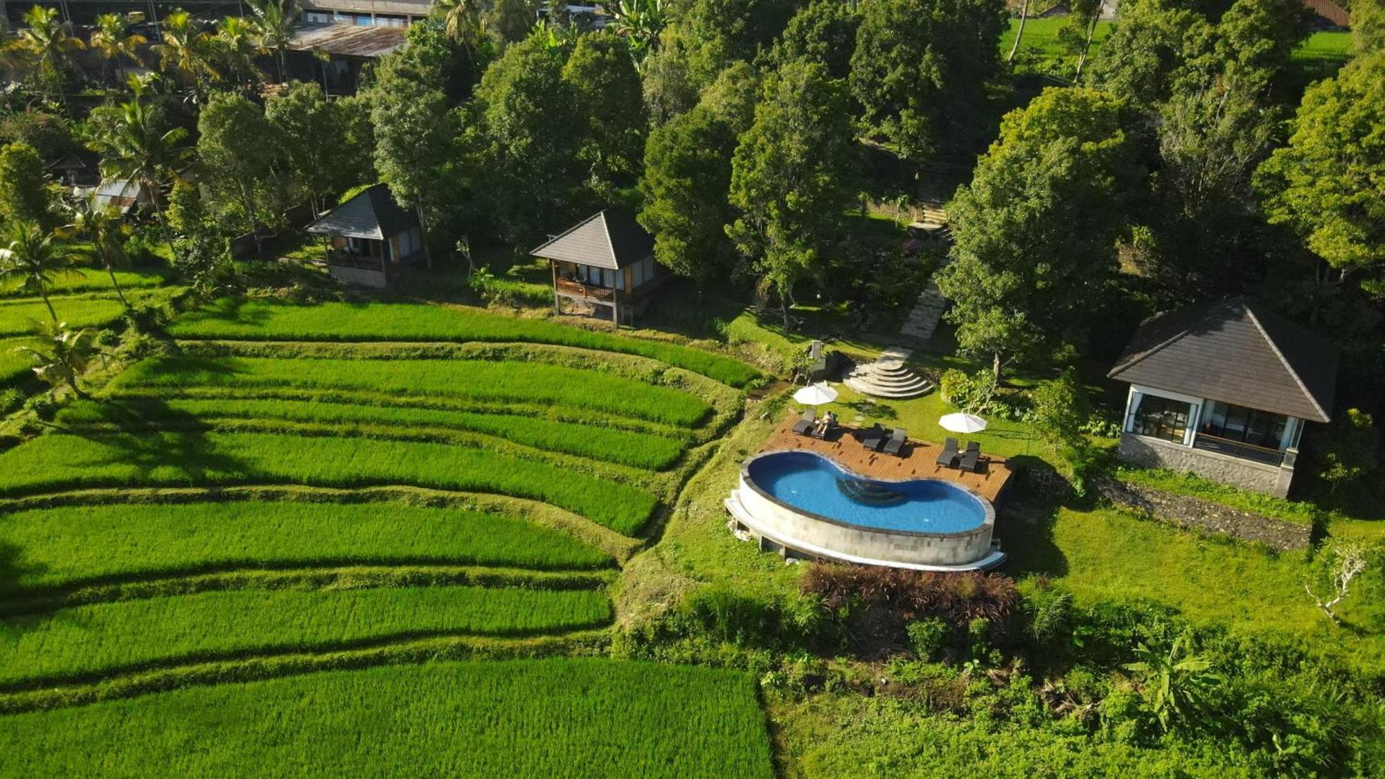Mayura Bali Villa Munduk  Luaran gambar
