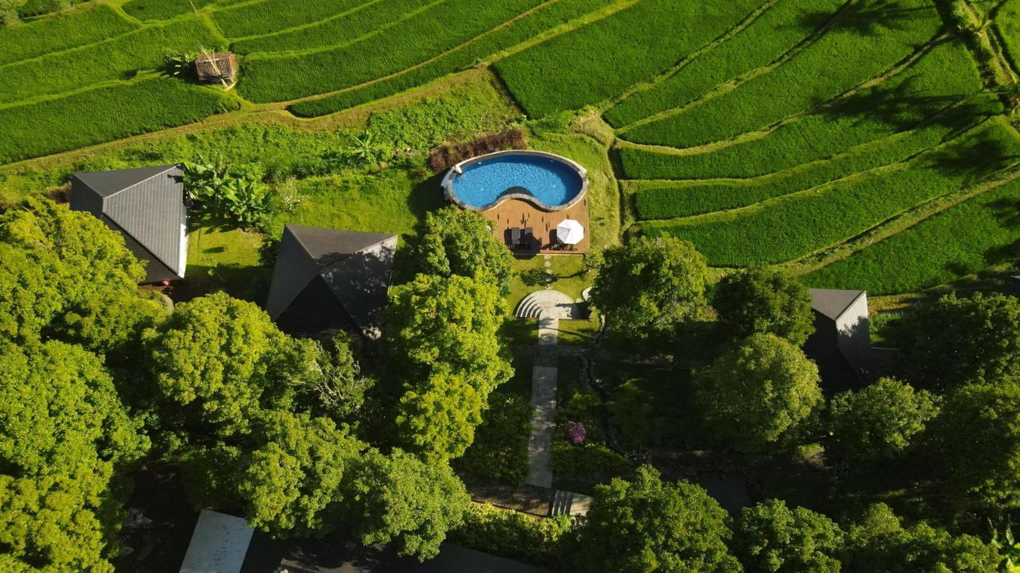 Mayura Bali Villa Munduk  Luaran gambar