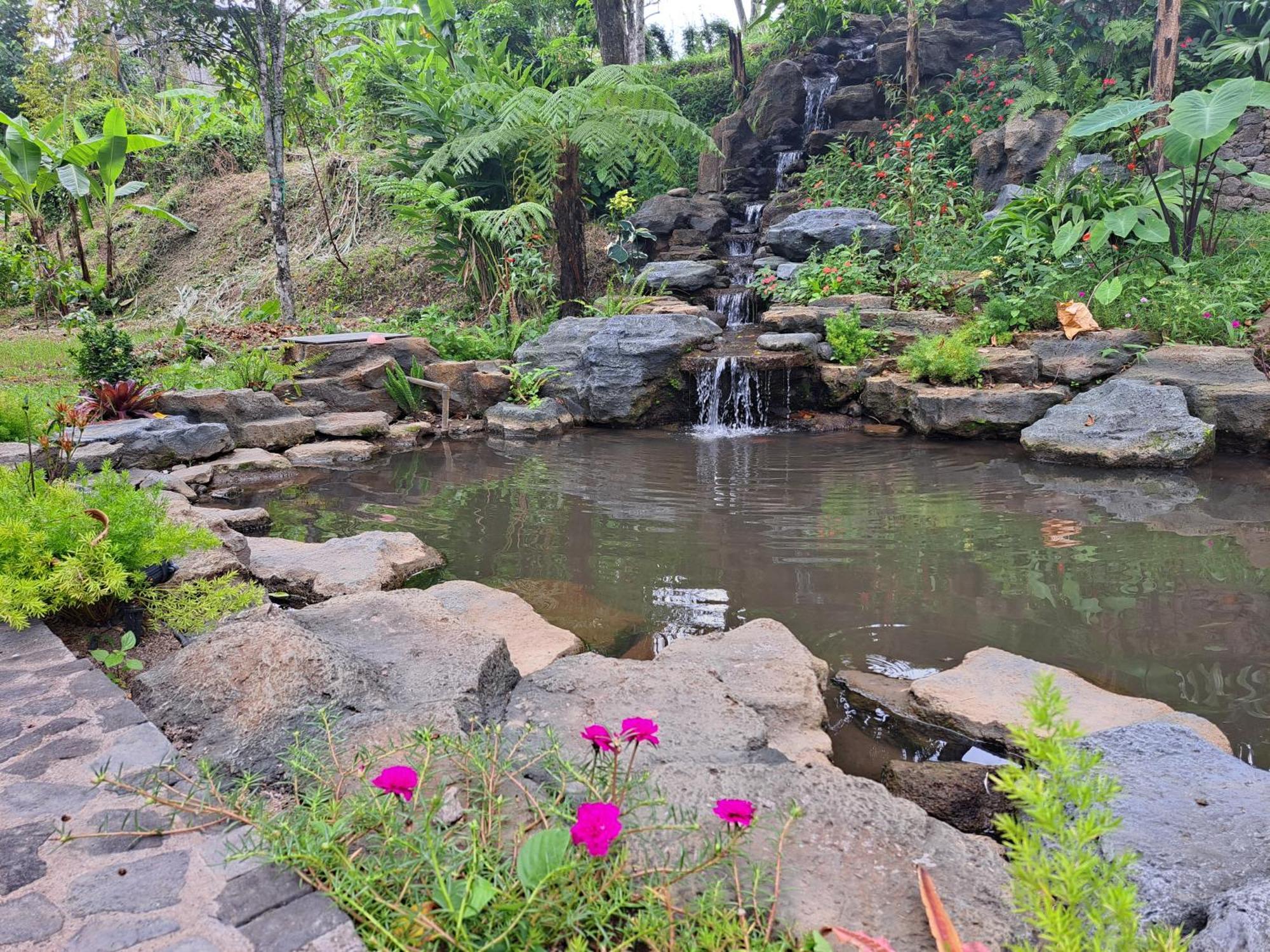 Mayura Bali Villa Munduk  Luaran gambar