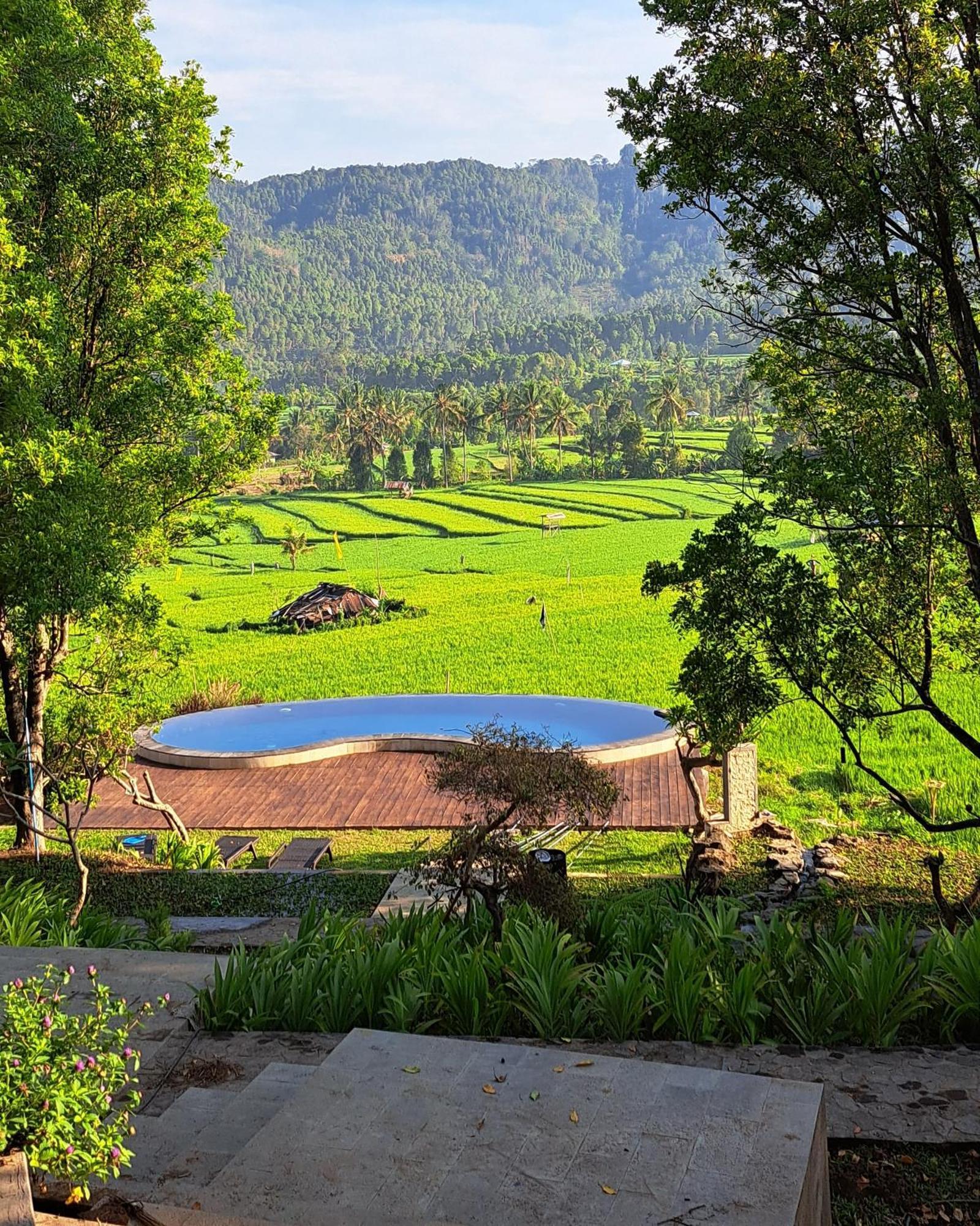Mayura Bali Villa Munduk  Luaran gambar