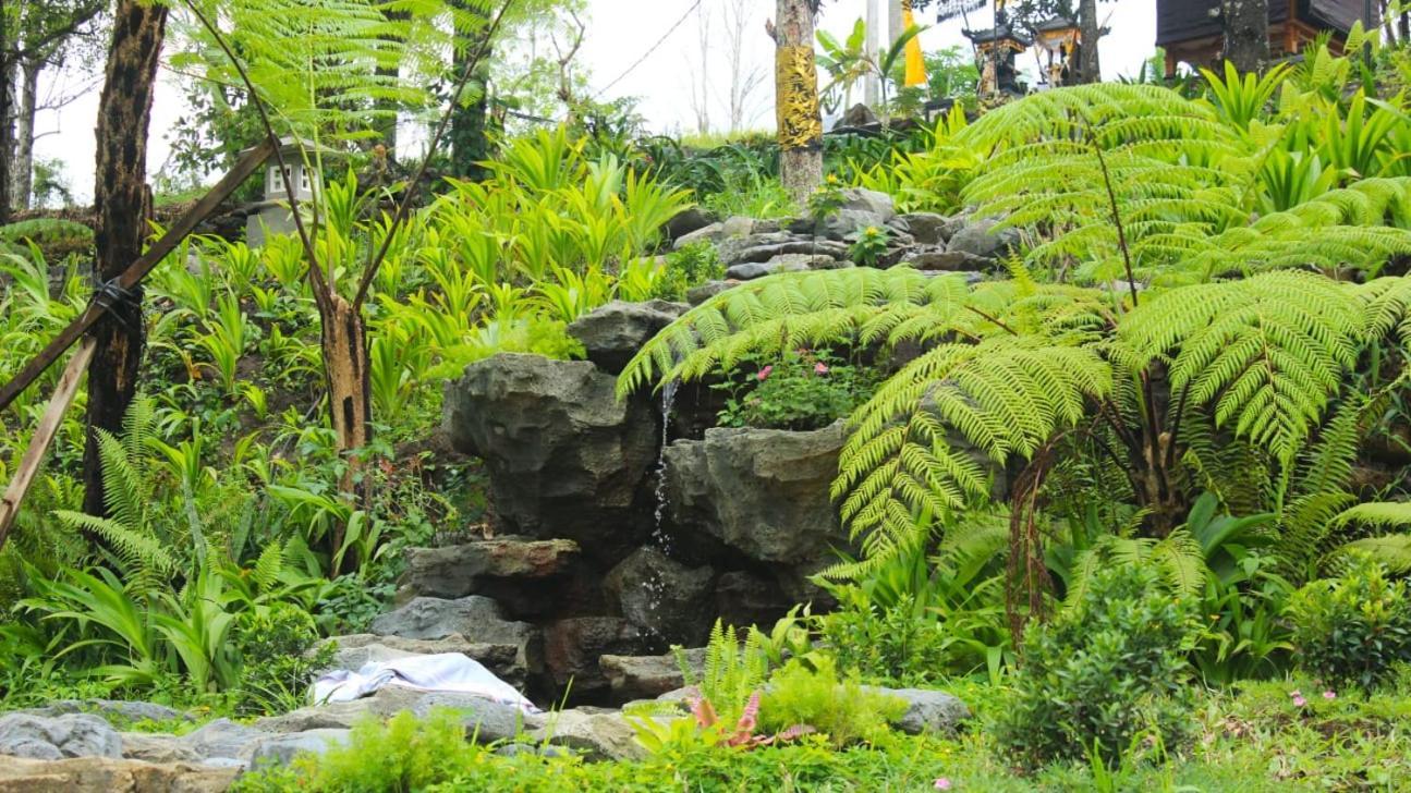 Mayura Bali Villa Munduk  Luaran gambar