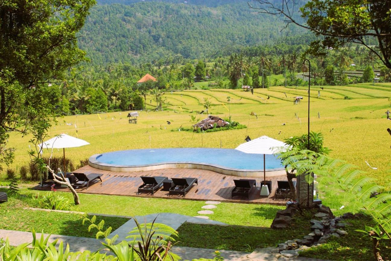 Mayura Bali Villa Munduk  Luaran gambar