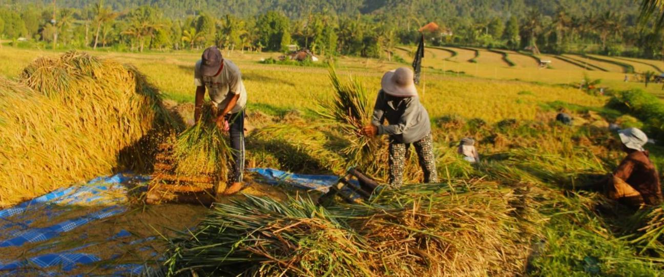 Mayura Bali Villa Munduk  Luaran gambar