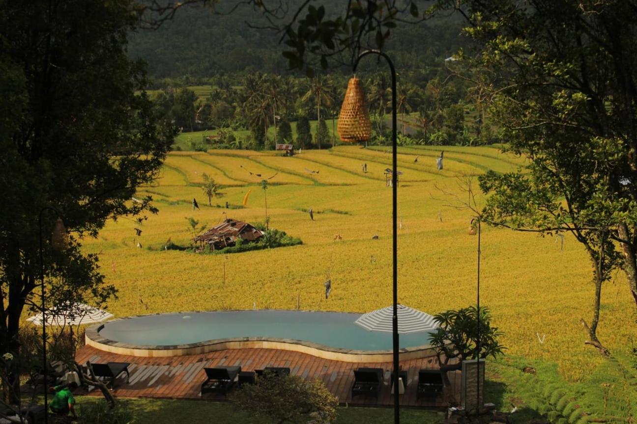 Mayura Bali Villa Munduk  Luaran gambar